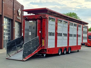 Finkl N/A 2008 - SAV35 - 3 deck Livestock - Water & Ventilation - Lifting Floors - Lifting roof image 9