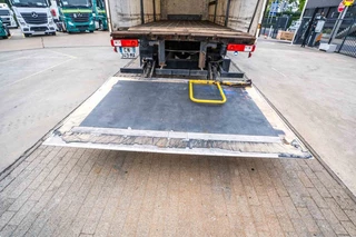 Renault N/A 2012 - PREMIUM 270 DXI+DHOLLANDIA immagine 10