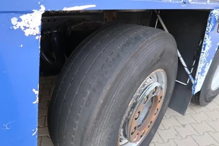 DAF XF 105 2012 - XF 105-460 - 2012 - 2-3 floors, Pigs transport image 33