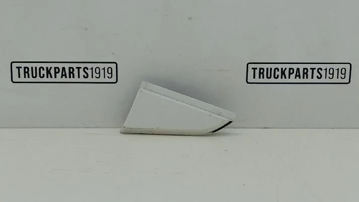 Scania - Body & Chassis Parts Afdekkap Re. Scania image 1