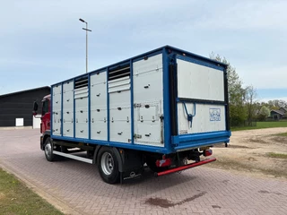 MAN TGM 2013 - 18.340 4X2 C RIJBEWIJS Veewagen imagen 6