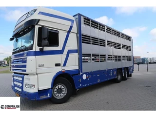 DAF XF 105 2012 - XF 105-460 - 2012 - 2-3 floors, Pigs transport zdjecie 1