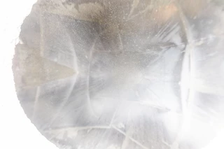 FELDBINDER N/A 2011 - EUT 40.3- 40.000 L CEMENT/CIMENT/ZEMENT image 10