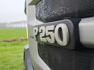 Scania P 2014 - P250 immagine 19