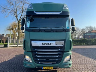 DAF XF 450 2018 - FT Lowdeck immagine 2