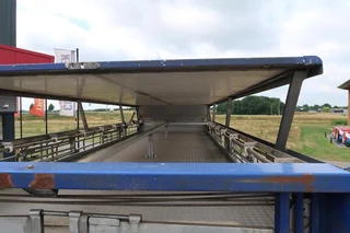 DAF XF 105 2012 - XF 105-460 - 2012 - 2-3 floors, Pigs transport zdjecie 43
