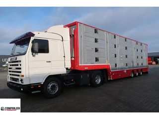 Pezzaioli 2016 - SBA 31 - Cattle transport - 2016 te koop
