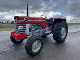 Massey Ferguson 168 1976 te koop