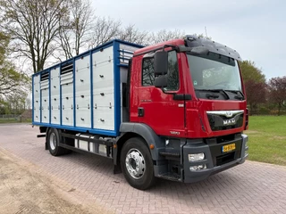 MAN TGM 2013 - 18.340 4X2 C RIJBEWIJS Veewagen imagen 1