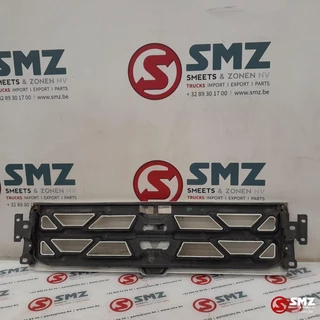 Renault N/A 2017 - Occ grille Renault immagine 2