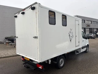 Mercedes-Benz Sprinter 2014 - 316CDI Paardenwagen/schapen pony's/ en klein vee /Veewagen Airco Cruisecontrol Trekhaak afbeelding 4