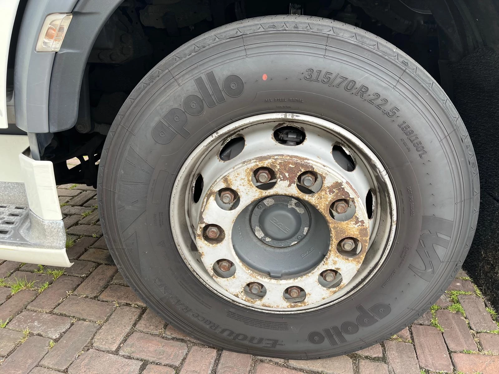 DAF XF480 2019 - FT afbeelding 35