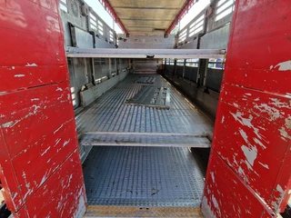 Finkl N/A 2009 - SAV35 - 3/3 deck livestock - Ventilation - Lifting floors - Lifting roof obrazek 33