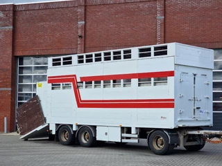 Samro N/A 2012 - 3 axle - 2 deck livestock - Lifting roof - Regnault box zdjecie 15
