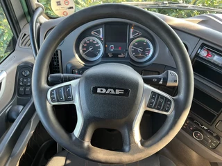 DAF XF 450 2018 - FT Lowdeck immagine 17