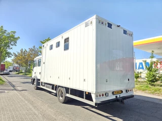 MAN TGL 2015 - 12.180 NL KENTEKEN MARGE PRIJS obrazek 6
