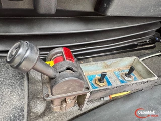 MAN TGS 2019 - 49.460 image 20