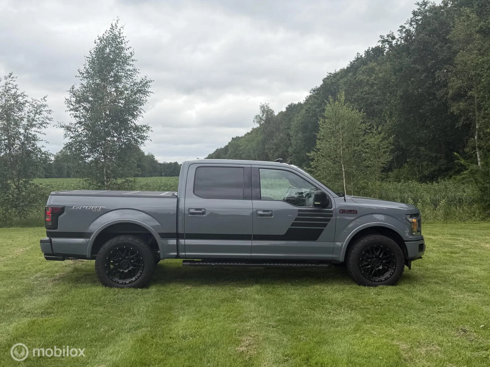Ford F-150 2020 - USA 5.0 V8 XLT afbeelding 2