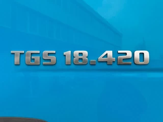 MAN TGS 2018 - 18.420 4X2 EURO 6 DAY CAB imagen 9