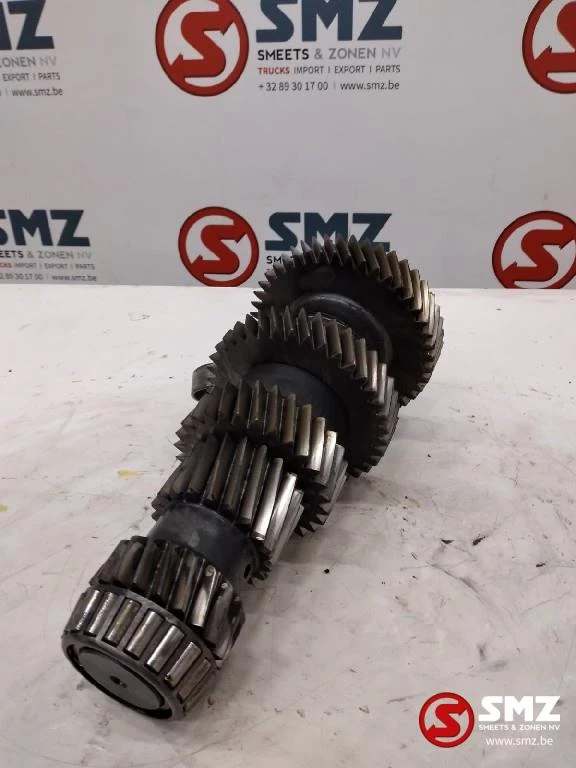 ZF - Occ primaire as ZF immagine 7