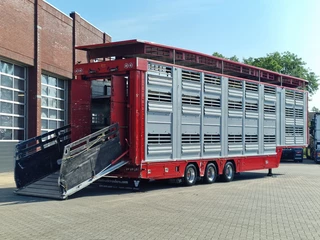 Finkl N/A 2009 - SAV35 - 3/3 deck livestock - Ventilation - Lifting floors - Lifting roof obrazek 8