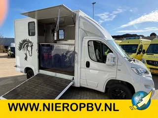 Opel Movano 2023 - Paardenwagen/Veewagen Hengsten Uitvoering Airco Cruisecontrol NIEUW image 11