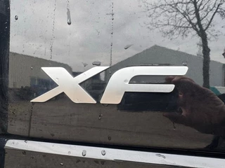 DAF N/A 2018 - XF 530 EURO 6 SPECIAL ANNIVERSARY EDITION image 2