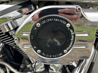 Harley-Davidson Heritage 1991 - FLSTCSC SPRINGER CLASSIC immagine 6