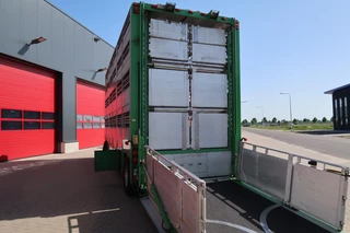 Jumbo N/A 2007 - MV 200 MMBS obrazek 5