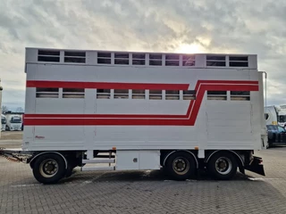 Samro N/A 2012 - 3 axle - 2 deck livestock - Lifting roof - Regnault box zdjecie 4