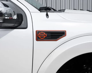 Ford F-150 2019 - (USA) Harley Davidson V8 5.0L Tuscany Motor Co. imagem 20