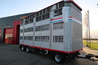 Pezzaioli N/A 2005 - RBA 31 - 2005 obrazek 7
