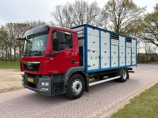 MAN TGM 2013 - 18.340 4X2 C RIJBEWIJS Veewagen imagen 2