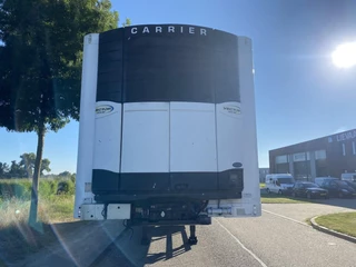 Pacton Z2-001 2007 - N/A zdjecie 7