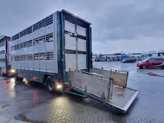 DAF XF 440 2015 - SuperSpaceCab 6x2*4 - Cuppers 1-2-3 deck Livestock + Cuppers 3 deck trailer 2009 obrazek 58