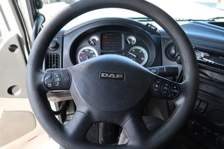 DAF XF 105 2012 - XF 105-460 - 2012 - 2-3 floors, Pigs transport image 8