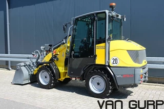 Neuson N/A 2025 - WL 250 | Weidemann 1260 immagine 6