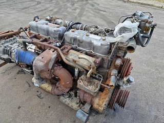 DAF WS 268 M afbeelding 3 miniatuur