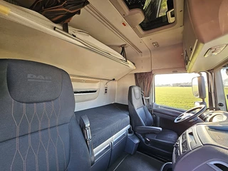 DAF N/A 2017 - XF 450 obrazek 15