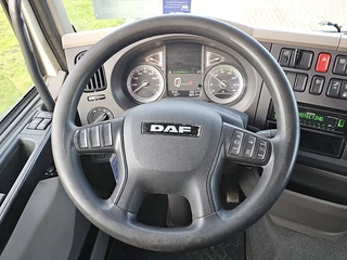 DAF N/A 2022 - LF 290 obrazek 13