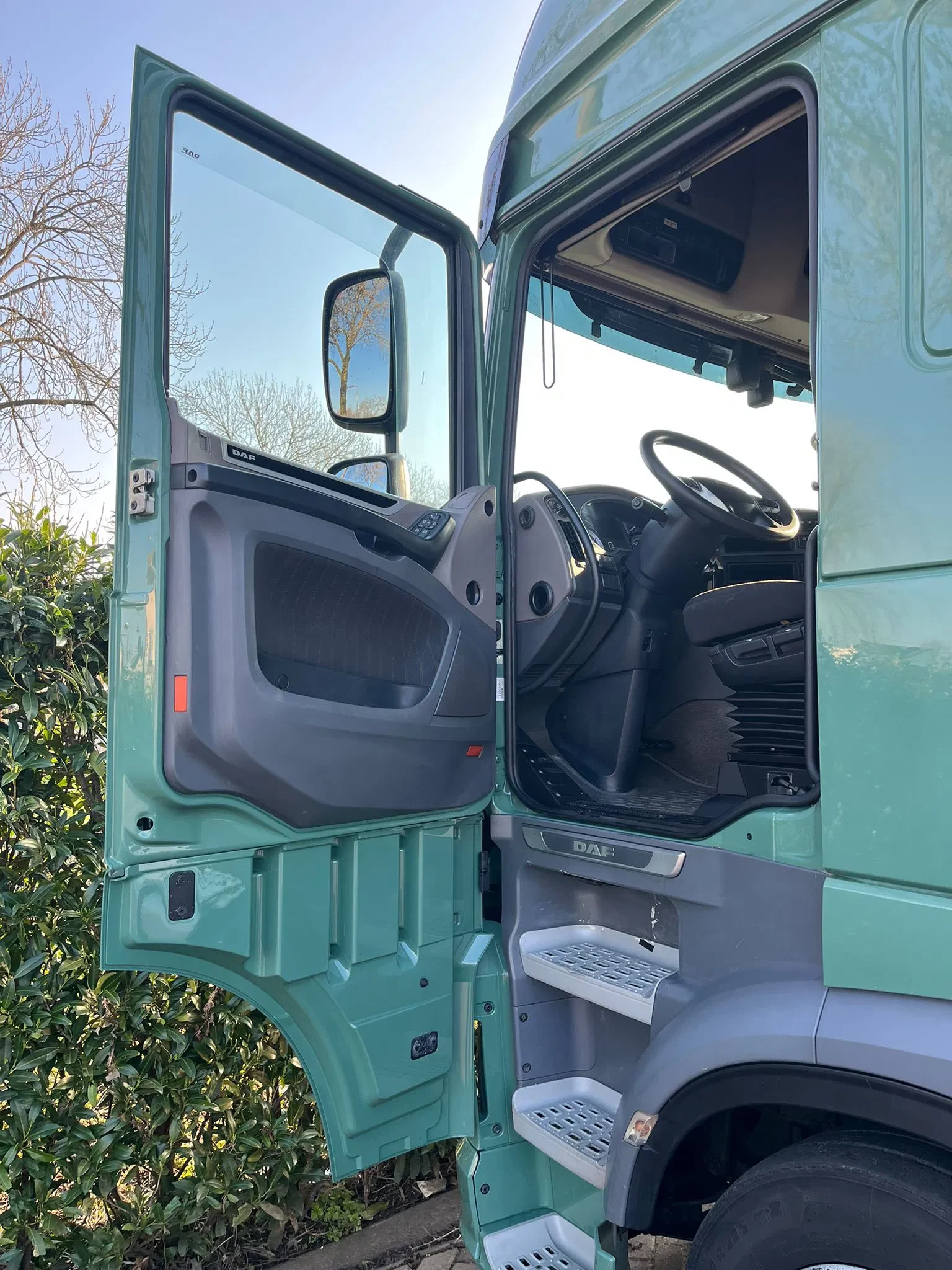 DAF XF 450 2018 - FT Lowdeck Bild 10