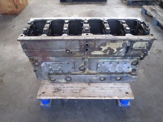 DAF N/A - CILINDERBLOK 865 immagine 1