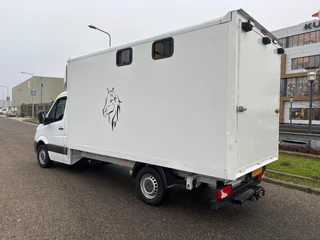 Mercedes-Benz Sprinter 2014 - 316CDI Paardenwagen/schapen pony's/ en klein vee /Veewagen Airco Cruisecontrol Trekhaak immagine 5