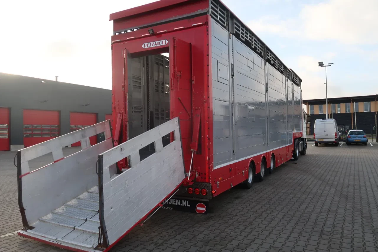 Pezzaioli 2016 - SBA 31 - Cattle transport - 2016 afbeelding 12