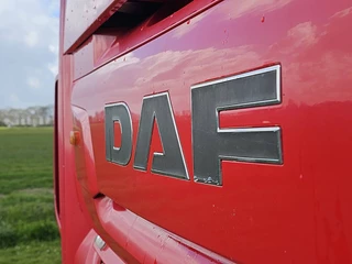 DAF XF480 2019 - N/A imagen 18