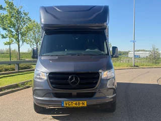 Mercedes-Benz Sprinter 2020 - 314CDI Paardenwagen Horsetruck TVW Hengsten Uitvoering L3 Automaat Airco obrazek 8