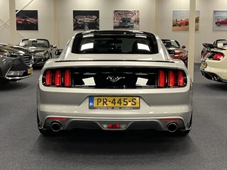 Ford Mustang 2015 - USA Fastback 2.3 EcoBoost 317PK Automaat Special Version zdjecie 14