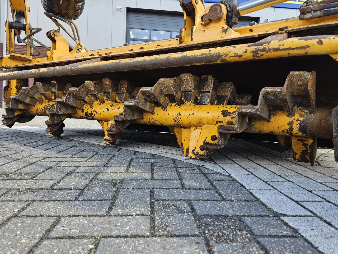 Bos 2015 - Walkantfrees afbeelding 22