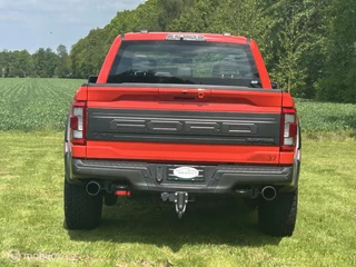 Ford F-150 2024 - USA Raptor obrazek 6