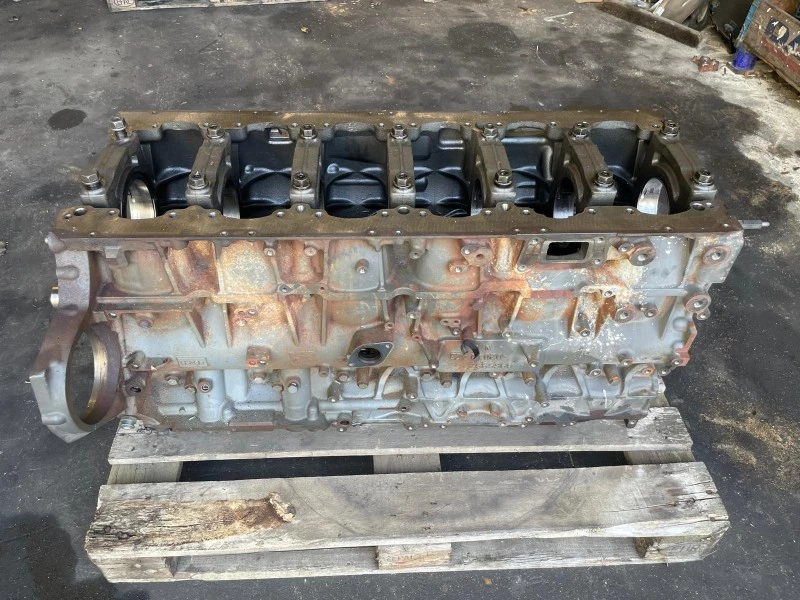 DAF 2019 - 2115212 / 2441372 CILINDERBLOK afbeelding 1